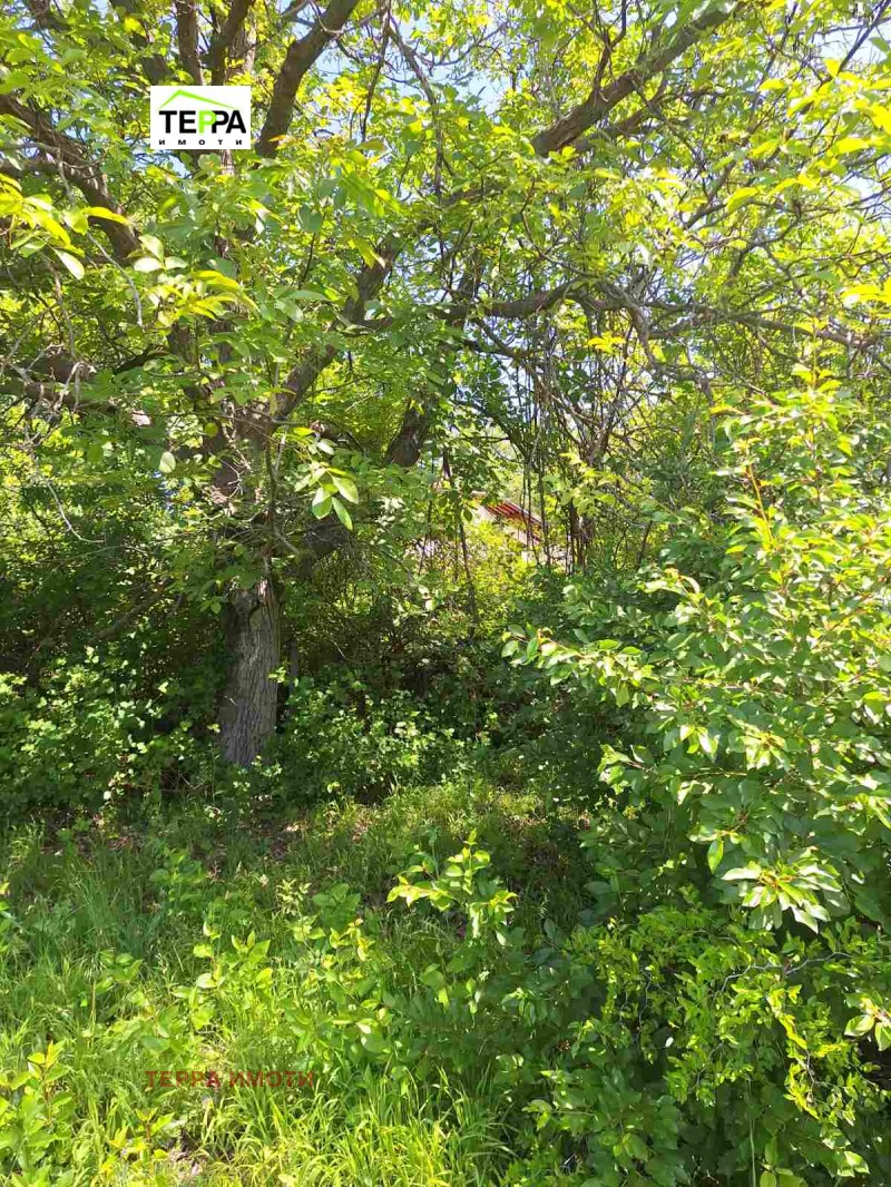 Til salg  Hus region Stara Zagora , Dalboki , 130 kvm | 82760304 - billede [12]