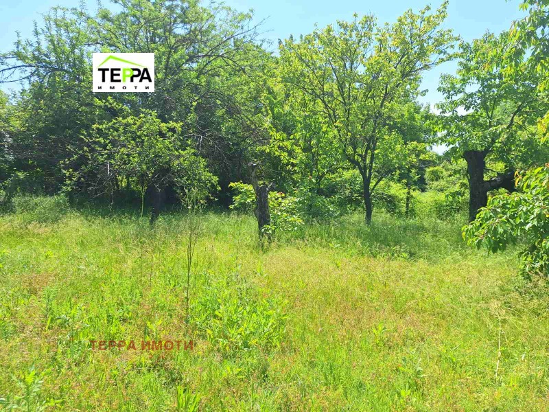 Til salg  Hus region Stara Zagora , Dalboki , 130 kvm | 82760304 - billede [11]