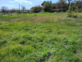 Продава ПАРЦЕЛ, с. Калугерово, област Пазарджик, снимка 3