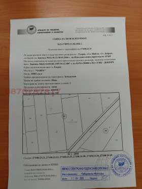 ����� ������� ���������� ����,�. ������, ������ ������