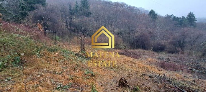 Продава  Парцел град София , Княжево , 4835 кв.м | 71821721 - изображение [5]