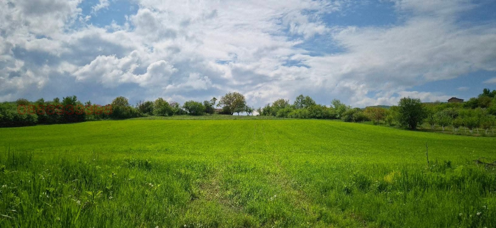 Продава ПАРЦЕЛ, с. Сливовица, област Велико Търново
