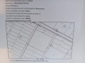 Продава ЗЕМЕДЕЛСКА ЗЕМЯ, с. Равна, област Варна, снимка 1