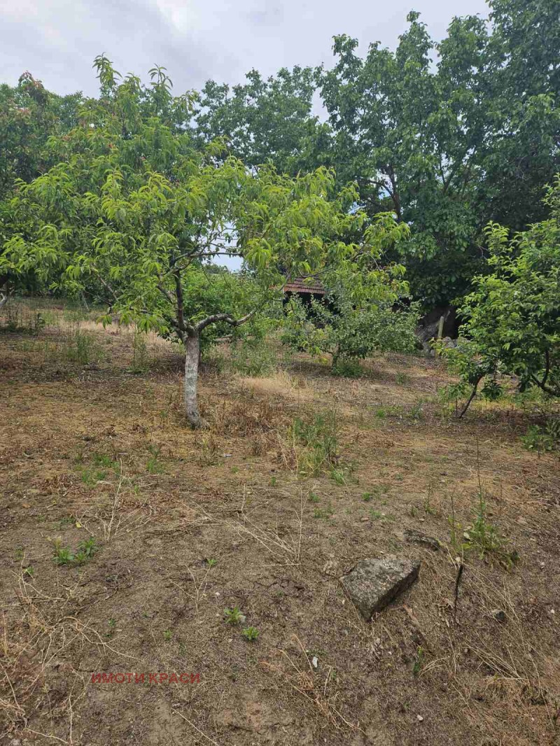 Til salg  Hus region Ruse , Gorno Ablanovo , 80 kvm | 98109199 - billede [11]