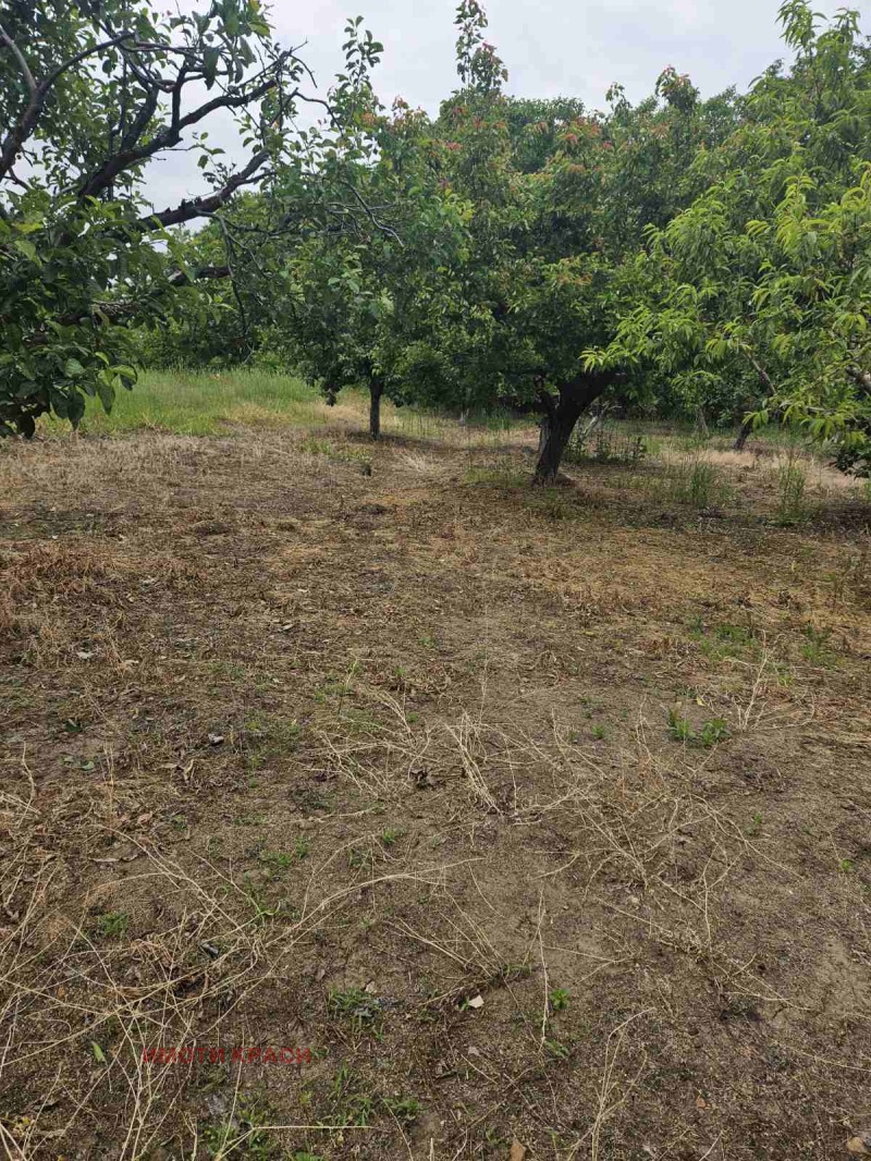 Til salg  Hus region Ruse , Gorno Ablanovo , 80 kvm | 98109199 - billede [13]