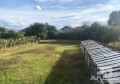 Продава  Къща област София , с. Петърч , 224 кв.м | 87562403 - изображение [8]