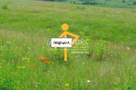 Продажба на земеделски земи в област Пловдив - изображение 6 