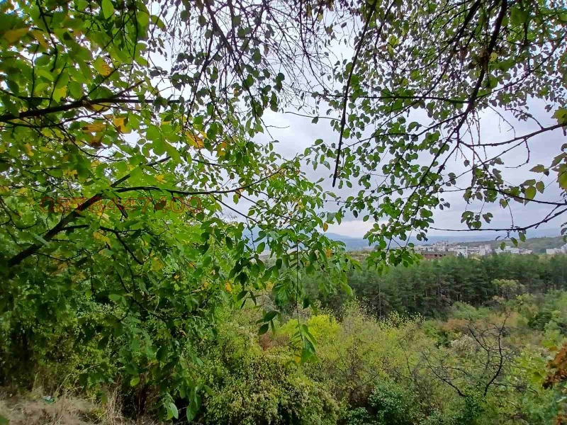 Продава ПАРЦЕЛ, гр. Кюстендил, Център, снимка 2 - Парцели - 52783430