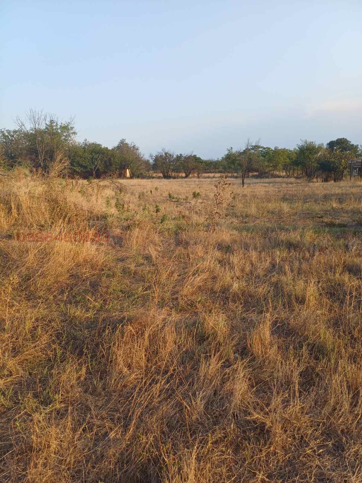 ������� ������ | Imot.bg � ����������� 6