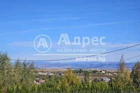 σπίτι Βανκια, Σοφηια 8