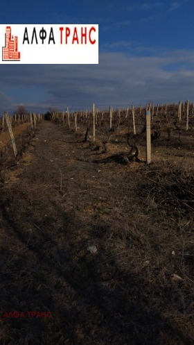 Γη Πηπερητσα, περιοχή Μπλαγκόεβγκραντ 5