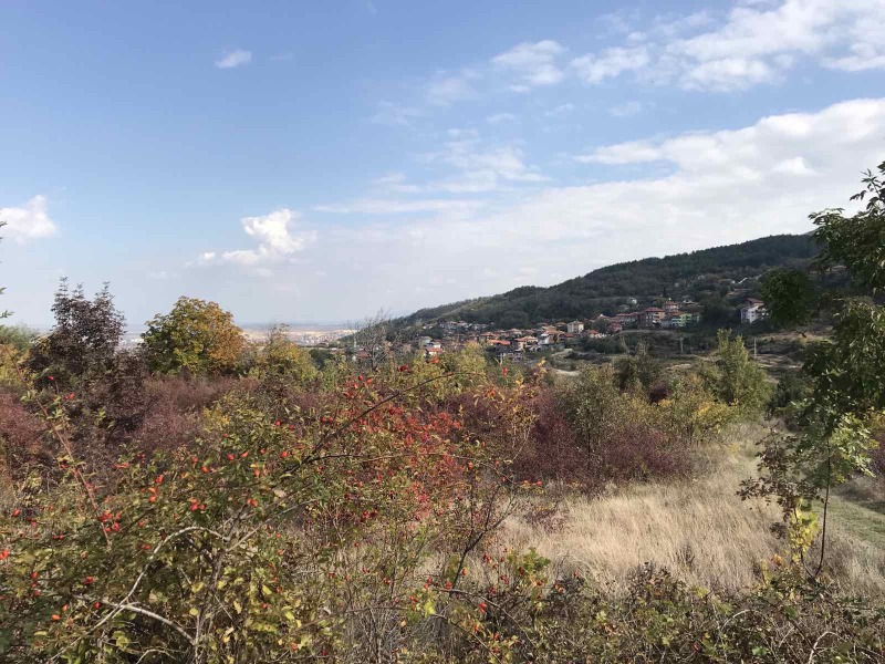 En venta  Tierra región Plovdiv , Asenovgrad , 4.3 dka | 17004921 - imagen [3]
