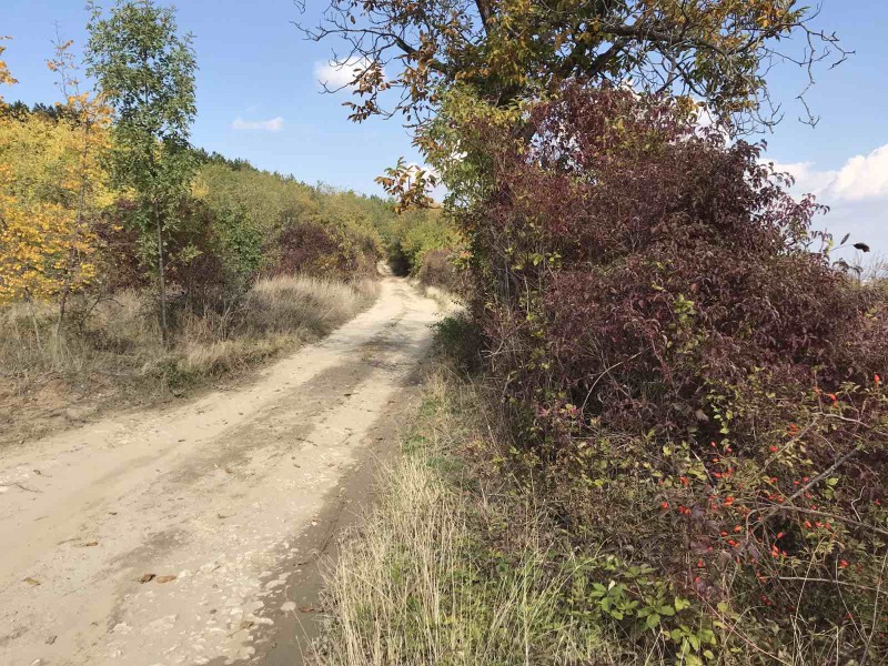 En venta  Tierra región Plovdiv , Asenovgrad , 4.3 dka | 17004921 - imagen [4]