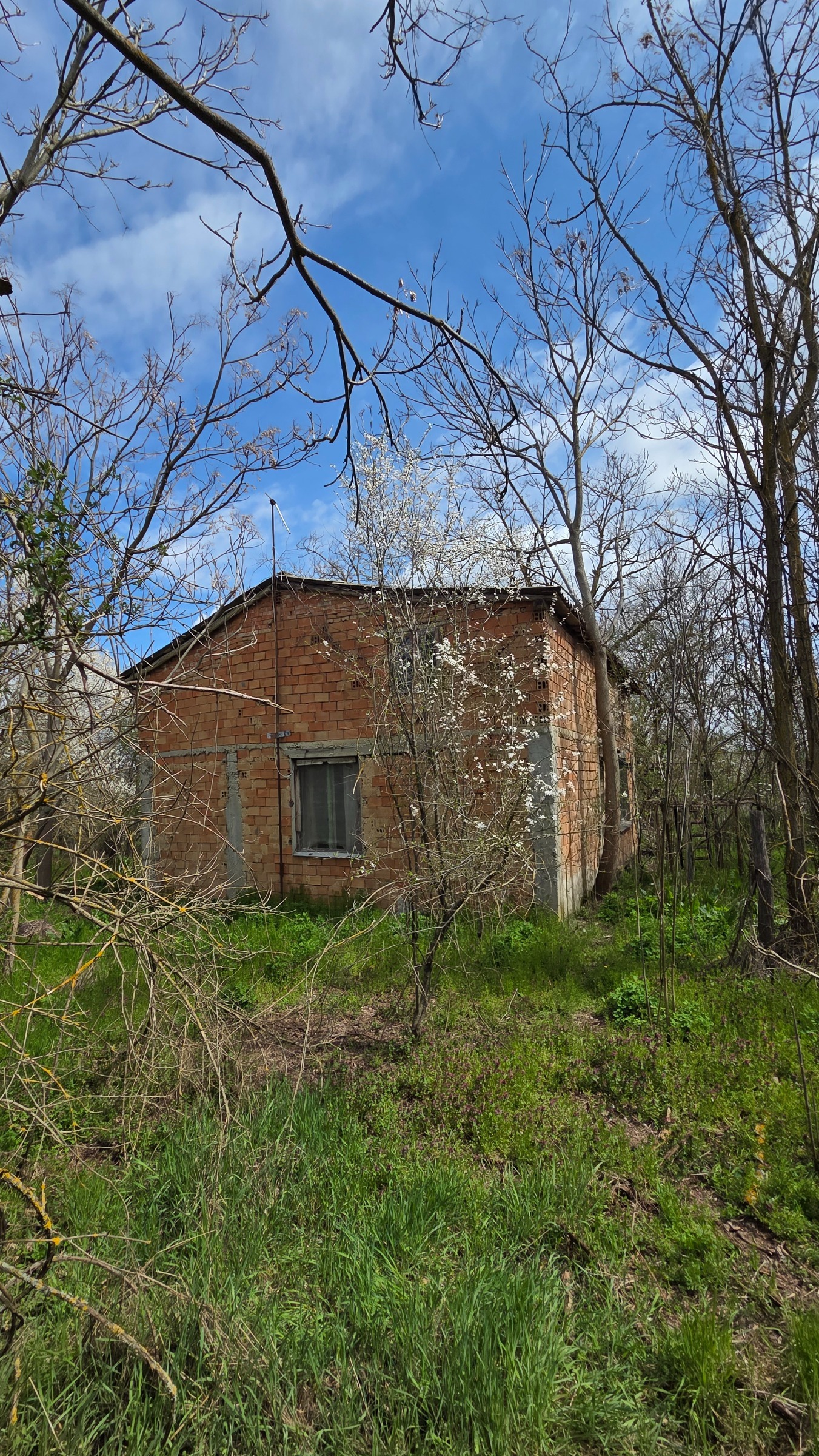 Продава КЪЩА, с. Красен, област Добрич, снимка 7 - Къщи - 54578029