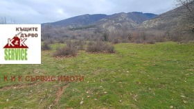 ������ ������� ���������� ����