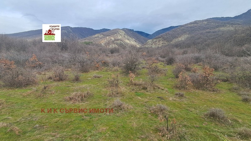 Продава ЗЕМЕДЕЛСКА ЗЕМЯ, гр. Сопот, област Пловдив, снимка 5 - Земеделска земя - 53500247