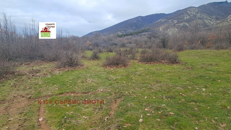 Продава ЗЕМЕДЕЛСКА ЗЕМЯ, гр. Сопот, област Пловдив, снимка 2 - Земеделска земя - 53500247