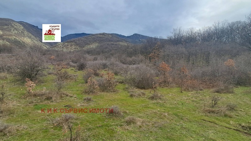 Продава ЗЕМЕДЕЛСКА ЗЕМЯ, гр. Сопот, област Пловдив, снимка 6 - Земеделска земя - 53500247