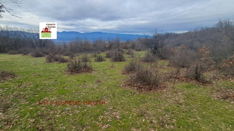 Продава ЗЕМЕДЕЛСКА ЗЕМЯ, гр. Сопот, област Пловдив, снимка 3 - Земеделска земя - 53500247