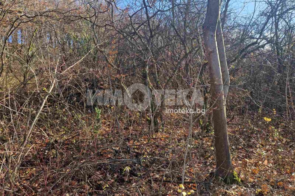 Продава ПАРЦЕЛ, гр. София, гр. Банкя, снимка 4 - Парцели - 54550498