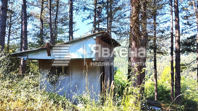 Продава ПАРЦЕЛ, с. Владо Тричков, област София област, снимка 3 - Парцели - 55005131