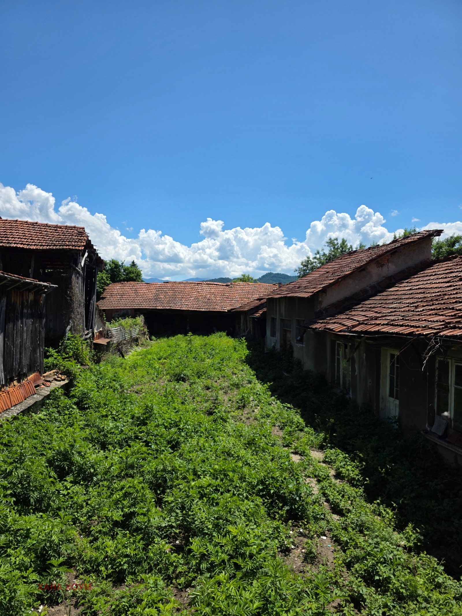 Продава КЪЩА, с. Орешак, област Ловеч, снимка 6 - Къщи - 54642023