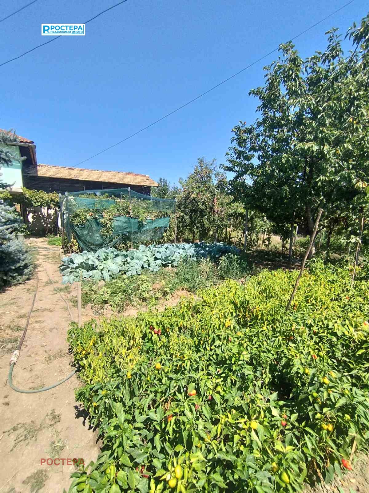 Продава КЪЩА, гр. Търговище, Въбел, снимка 16 - Къщи - 55901192