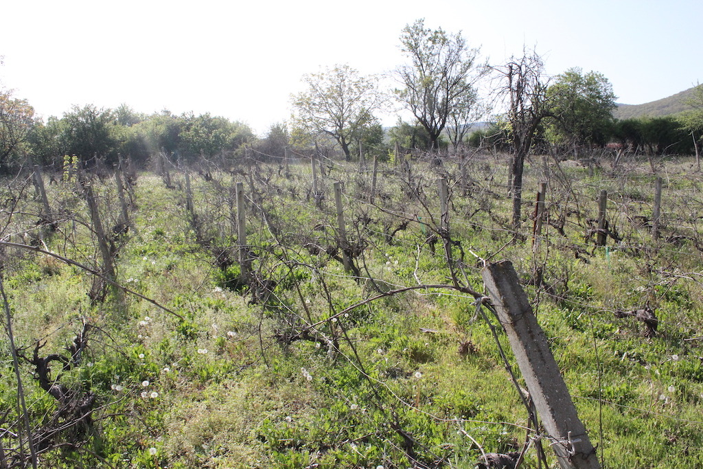 ������� ���� | Imot.bg � ����������� 16