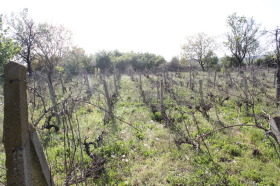 ������� ���� | Imot.bg � ����� ������ 15