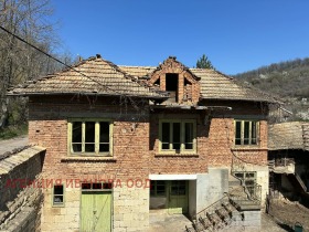 ������ ������� ����