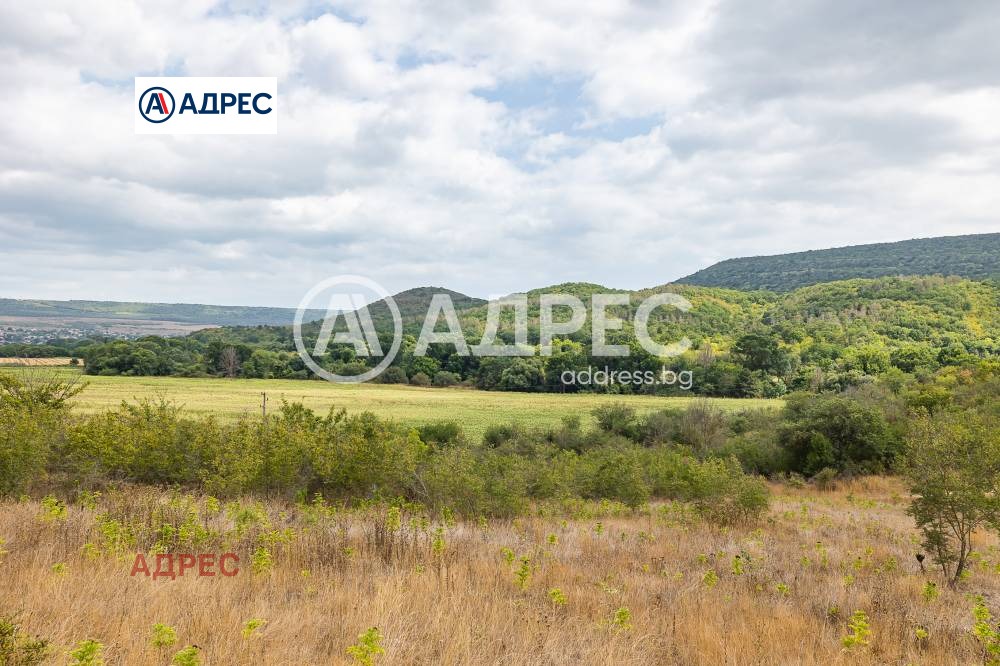 Продава КЪЩА, с. Църква, област Добрич, снимка 6 - Къщи - 54078382