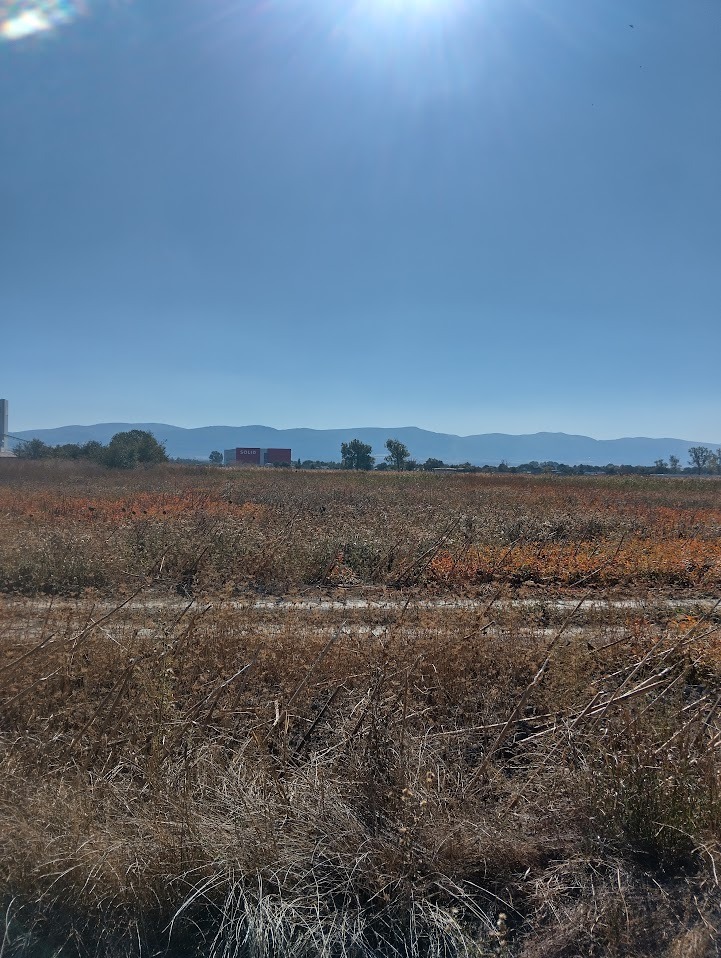 ������� ������ | Imot.bg � ����������� 1