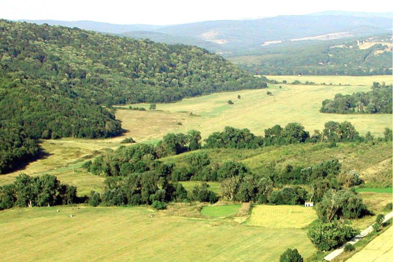 Na prodej  Spiknutí oblast Burgas , Obzor , 25485 m2 | 59493441