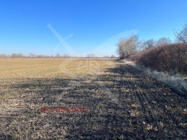 Продава ПАРЦЕЛ, гр. Пловдив, Индустриална зона - Изток, снимка 2 - Парцели - 53804864