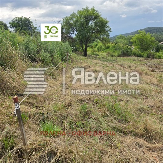Продава ПАРЦЕЛ, с. Долище, област Варна, снимка 5 - Парцели - 56088461