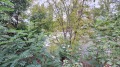 Продава КЪЩА, с. Невестино, област Кюстендил, снимка 5