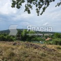 Продава ПАРЦЕЛ, с. Долище, област Варна, снимка 3