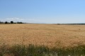 Продава ПАРЦЕЛ, област София, гр. Сливница • 446616 € • 86094753 — Holmes.bg
