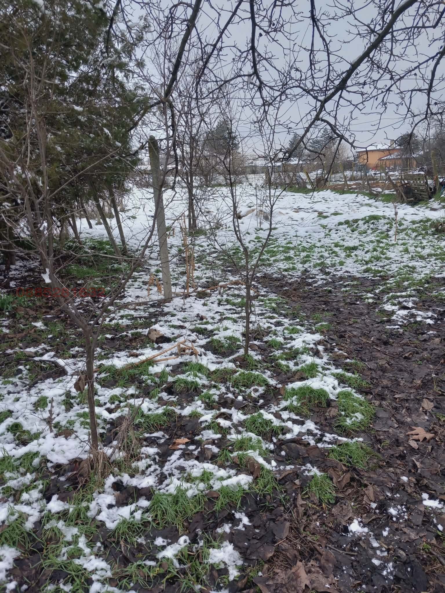 ������� ������ | Imot.bg � ����������� 1
