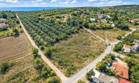 ������� ������ | Imot.bg � ����� ������ 9