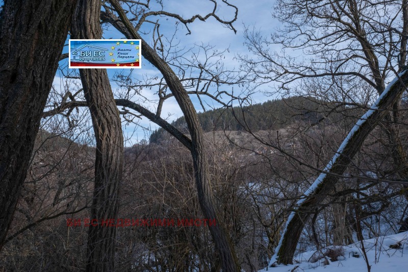 Продава  Къща област Перник , с. Бабица , 84 кв.м | 60814022 - изображение [10]