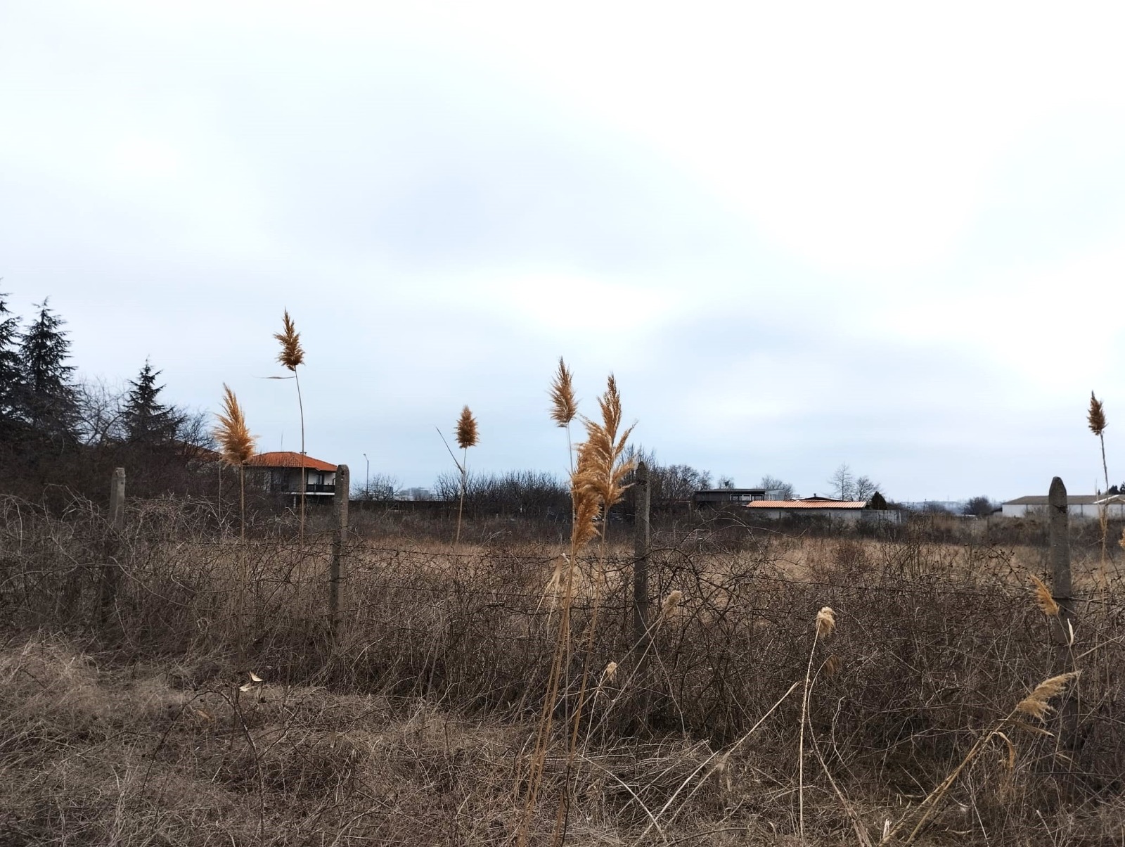 Продава ЗЕМЕДЕЛСКА ЗЕМЯ, с. Тънково, област Бургас, снимка 2 - Земеделска земя - 48574018