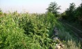 Продава КЪЩА, с. Златия, област Добрич, снимка 10