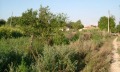 Продава КЪЩА, с. Златия, област Добрич, снимка 8
