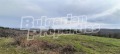 Продава ЗЕМЕДЕЛСКА ЗЕМЯ, с. Драчево, област Бургас, снимка 4