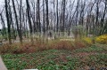 Продава 3-СТАЕН, град София, Лозенец • 329900 € / 645228.32 лв. • 61650789 6