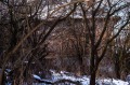 Продава КЪЩА, област Перник, с. Бабица • 26000 € • 94296816 — Holmes.bg