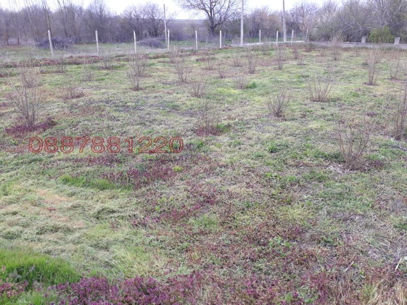 ������� ���� | Imot.bg � ����������� 17