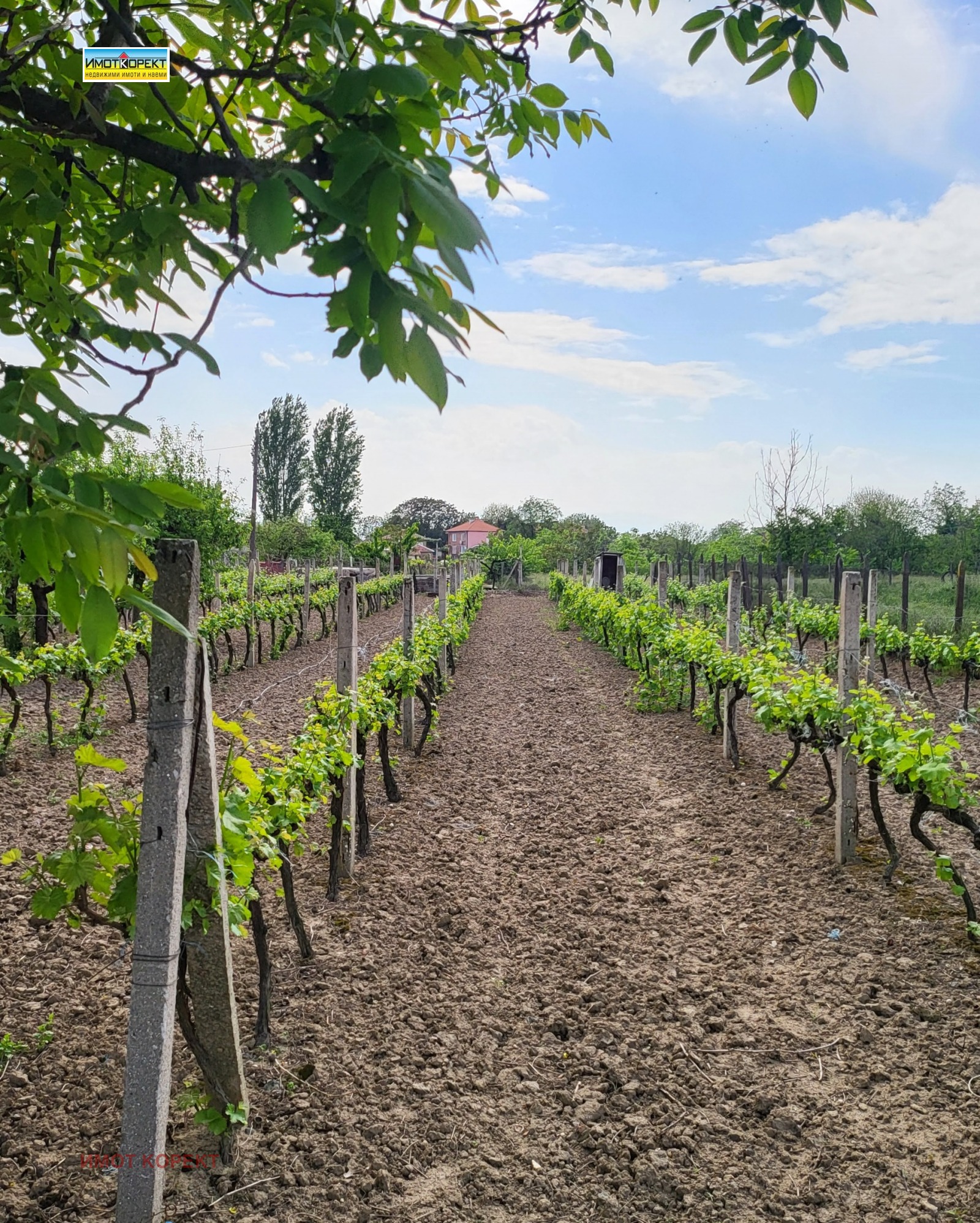 ������� ������ | Imot.bg � ����������� 5