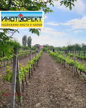 ������� ������ | Imot.bg � ����� ������ 5